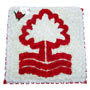 Nottingham Forest Football Emblem Small Image