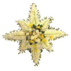 Northern Star Floral Tribute