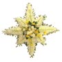 Northern Star Floral Tribute Small Image