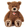 Brown Teddy Bear With Paws 55cm Small Image