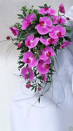 This is a Pink Phalaenopsis Orchid Flower Wedding Bouquet.