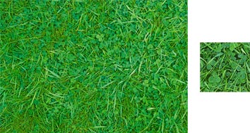 Lawn Grass Wrapping Paper - Photowrap