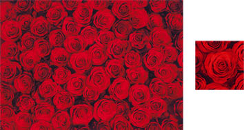 Red Roses Wrapping Paper - Photowrap