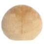 Aurora World Palm Pals Claire Donut Back