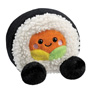 Aurora World Palm Pals Dani California Roll Front