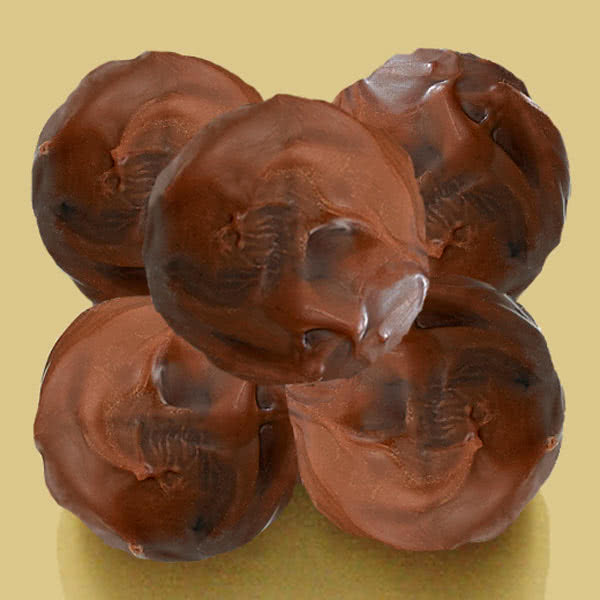 Natra JacaliBelgian Salted Caramel Truffle