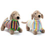 Best Years Knitted Sausage Dog Pastel Jumper Toy Together