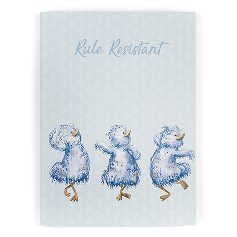 Anything But Ordinary RR Notebook