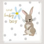 Baby Boy Rabbit Greeting Card Small Image