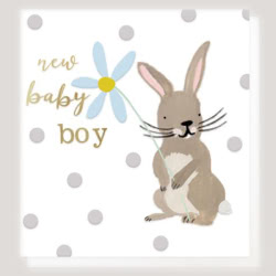Caroline Gardner Baby Boy Rabbit Greeting Card