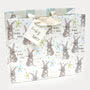 Baby Boy Rabbit Gift Bag