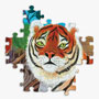 Eeboo Planet Earth 1000 Piece Puzzle Pieces