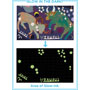 Eeboo Zodiac 1000 Piece Puzzle Glow in Dark