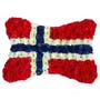 Norway Flag Funeral Tribute Small Image