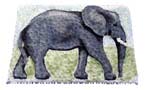 Bespoke Elephant Tribute Small Image