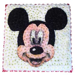 Bespoke Mickey Mouse Tribute