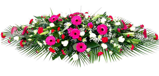 Funeral Coffin Spray - Cerise Gerbera