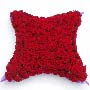 Red Rose Funeral Cushion