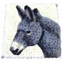 Bespoke Donkey Funeral Tribute Small Image