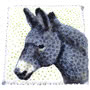 Bespoke Donkey Funeral Tribute