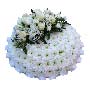 Funeral Posy Pad Pure White Small Image