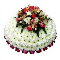 Funeral Posy Pad White & Apricot