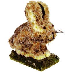 Speciality 3D Bunny Rabbit