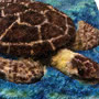 Funeral Flowers Turtle Funeral Flower Tribute Side