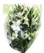 White Lily Funeral Bouquet Small Image