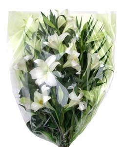 White Lily Funeral Bouquet