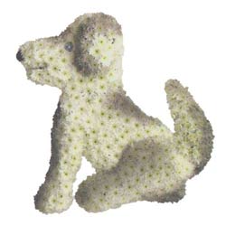 Funeral Flowers Dog Flower Tribute