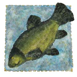 Funeral Flowers Bespoke Fish Tribute - Tench
