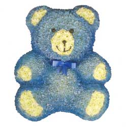 Baby Boy Teddy Bear 
