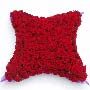 Red Rose Funeral Cushion