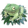 Bespoke Frog Tribute Small Image