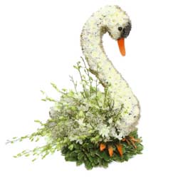 Swan Floral Tribute