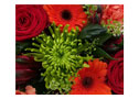Florists Choice Red & Orange Spray