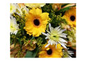 Florists Choice Spray - Yellow & Cream