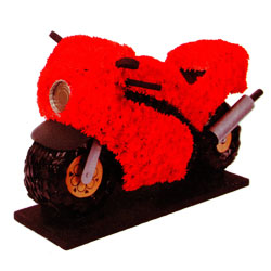 Speciality 3D Motorbike Tribute