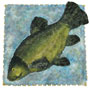 Funeral Flowers Bespoke Fish Tribute - Tench 