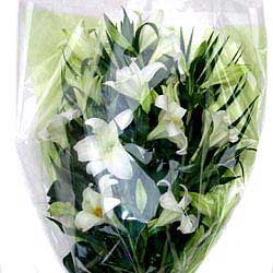 Funeral Flower Bouquets, these come in six sizes and any colour combination including the white funeral sheaf and the Lily Bouquet.