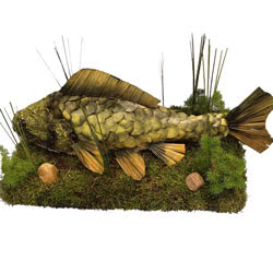 Funeral Flowers Carp Bespoke Fish Tribute