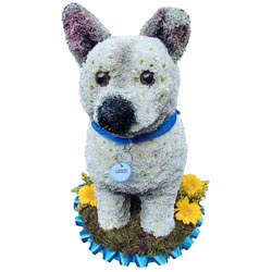 Funeral Flowers 3D White Dog Floral Tribute
