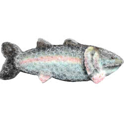 Funeral Flowers Rainbow Trout Floral Tribute