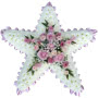 Speciality Pink Star Funeral Tribute Small Image