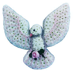 White Dove Floral Tribute