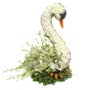 Swan Floral Tribute Small Image