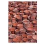 Plant Pots Greeting Card Small Image
