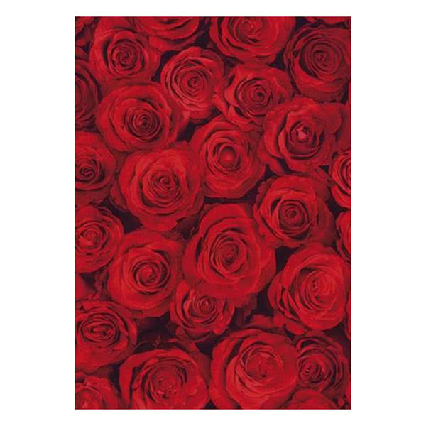 PhotowrapRed Roses Greeting Card