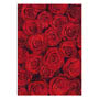 Red Roses Greeting Card Small Image